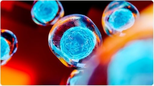 کاربرد سلول‌های بنیادی پلی‌پوتنت