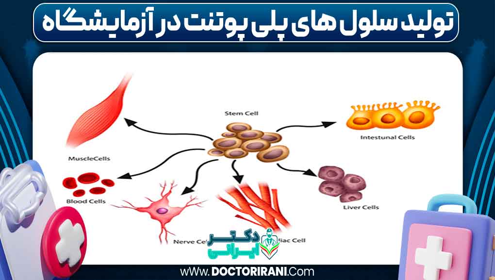 تولید سلول‌های پلی‌پوتنت در آزمایشگاه