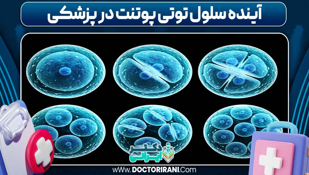 آینده سلول توتی‌پوتنت در پزشکی
