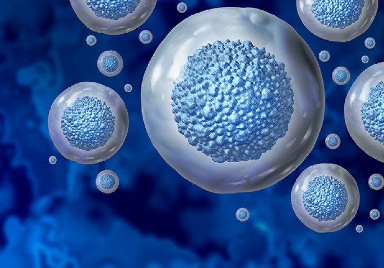 آینده درمان با سلول‌های پلی‌پوتنت