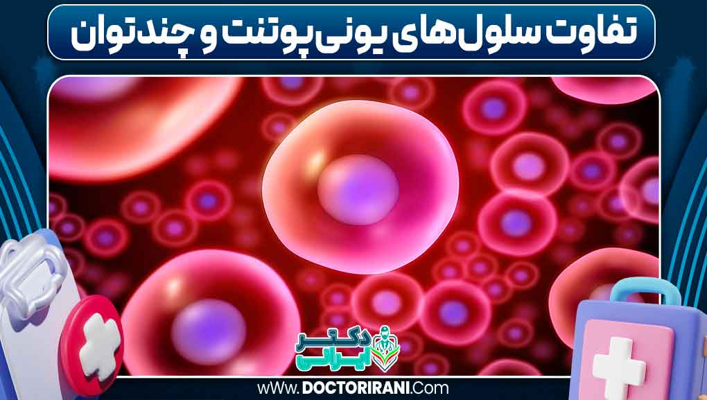 تفاوت سلول‌های یونی‌پوتنت و چندتوان