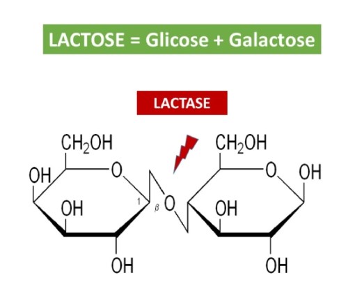 عوارض لاکتوز چیست