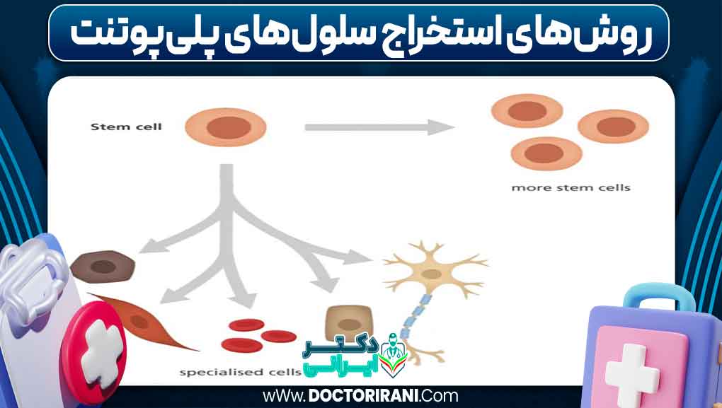 روش‌های استخراج سلول‌های پلی‌پوتنت