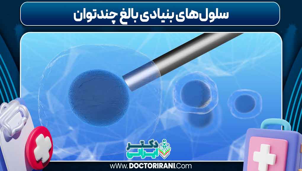 سلول‌های بنیادی بالغ چندتوان