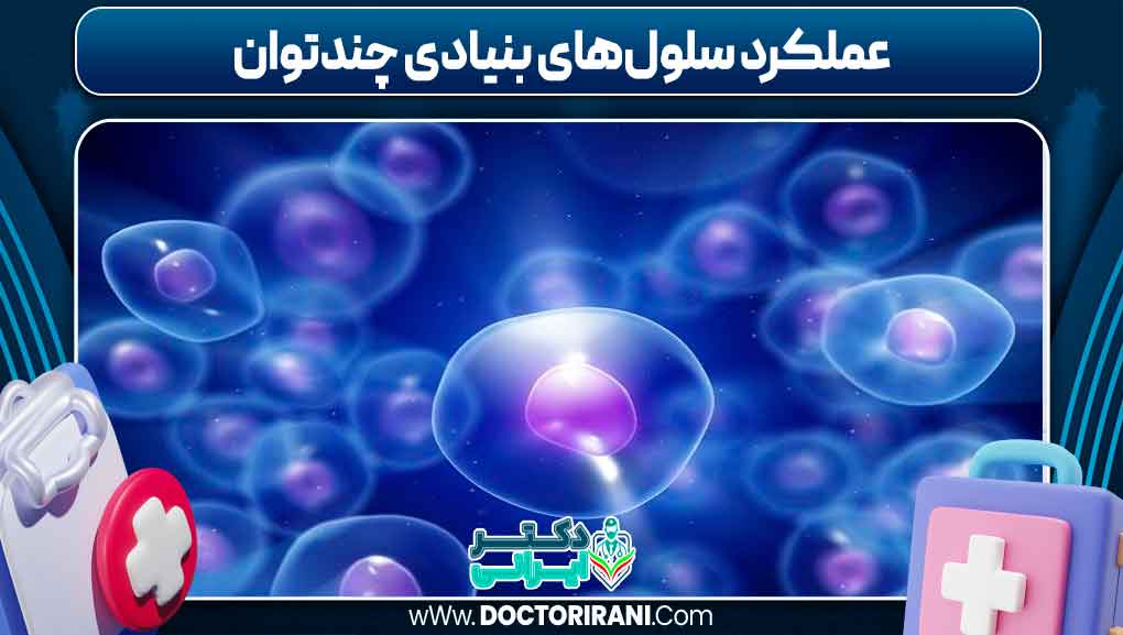 عملکرد سلول‌های بنیادی چندتوان