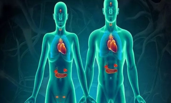 علائم اختلالات غدد درون‌ریز چیست