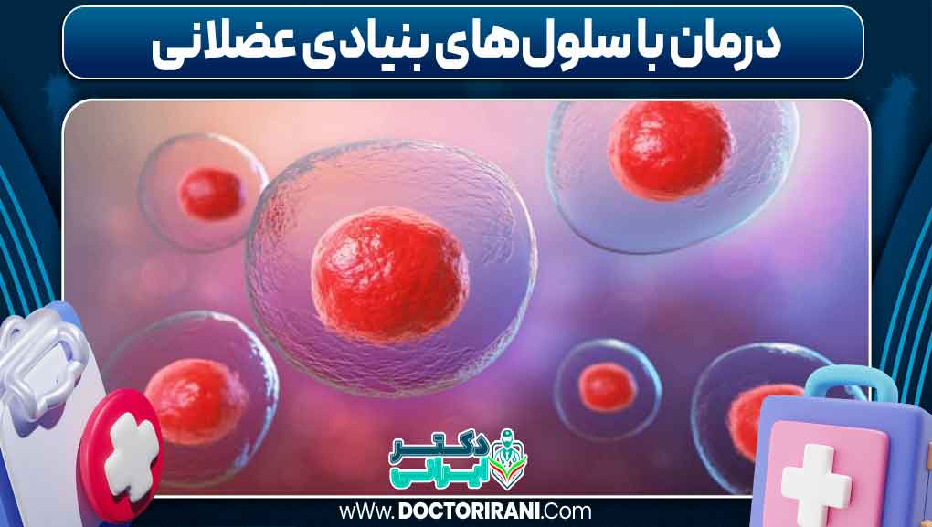 درمان سلول‌های بنیادی ماهیچه‌ای