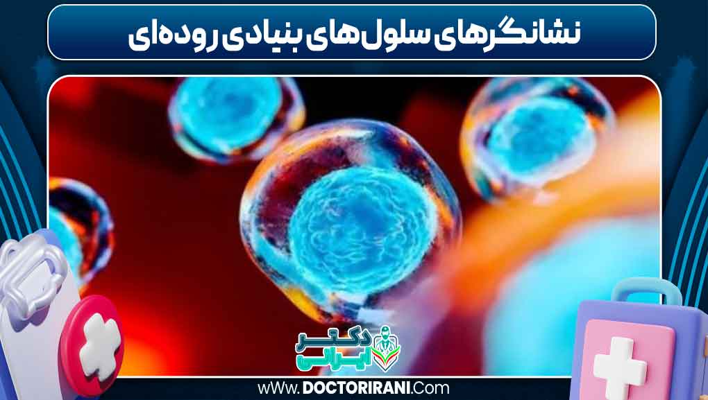 نشانگرهای سلول‌های بنیادی روده‌ای