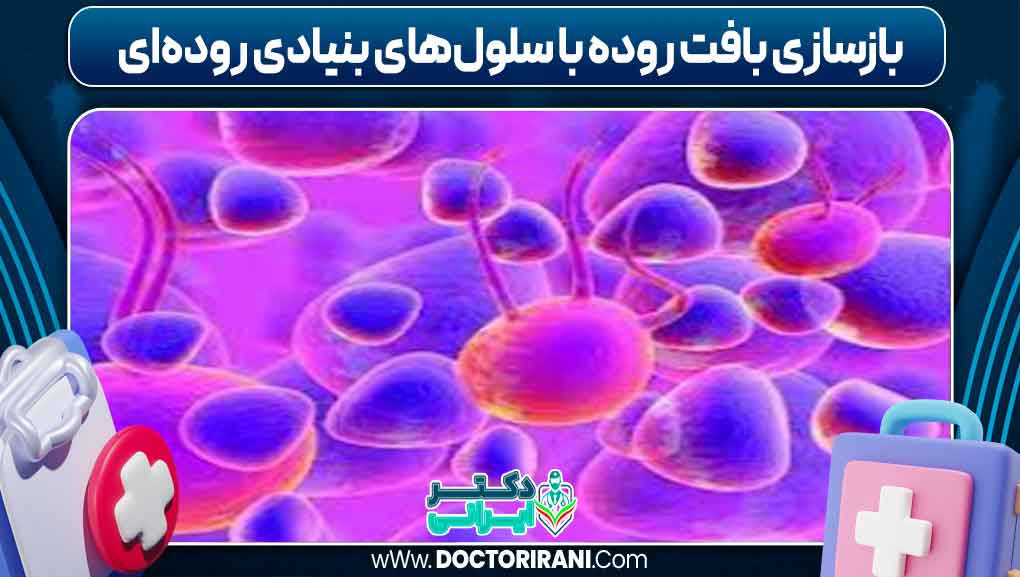 بازسازی بافت روده با سلول‌های بنیادی روده‌ای