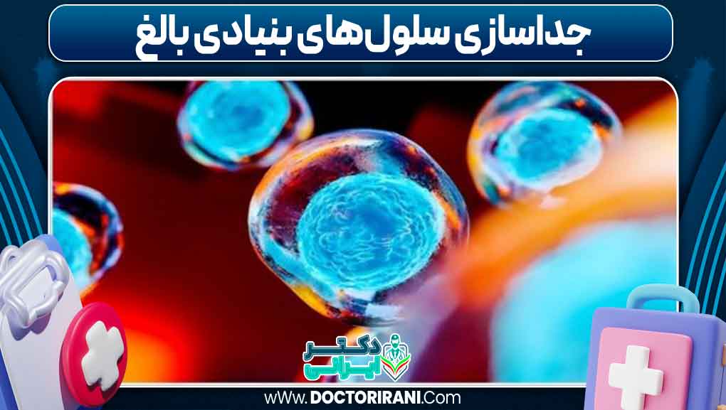 جداسازی سلول‌های بنیادی بالغ