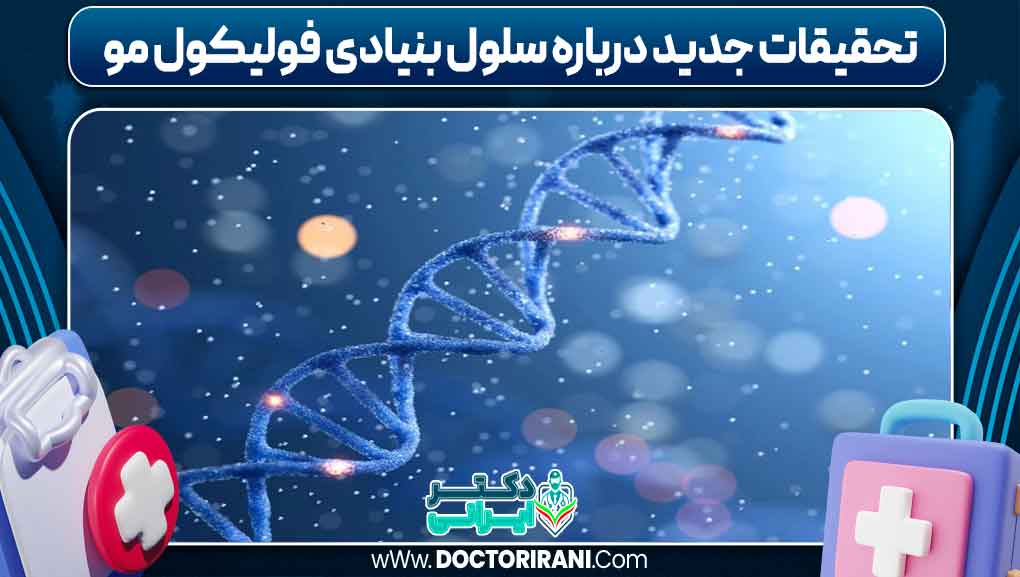 تحقیقات جدید درباره سلول بنیادی فولیکول مو