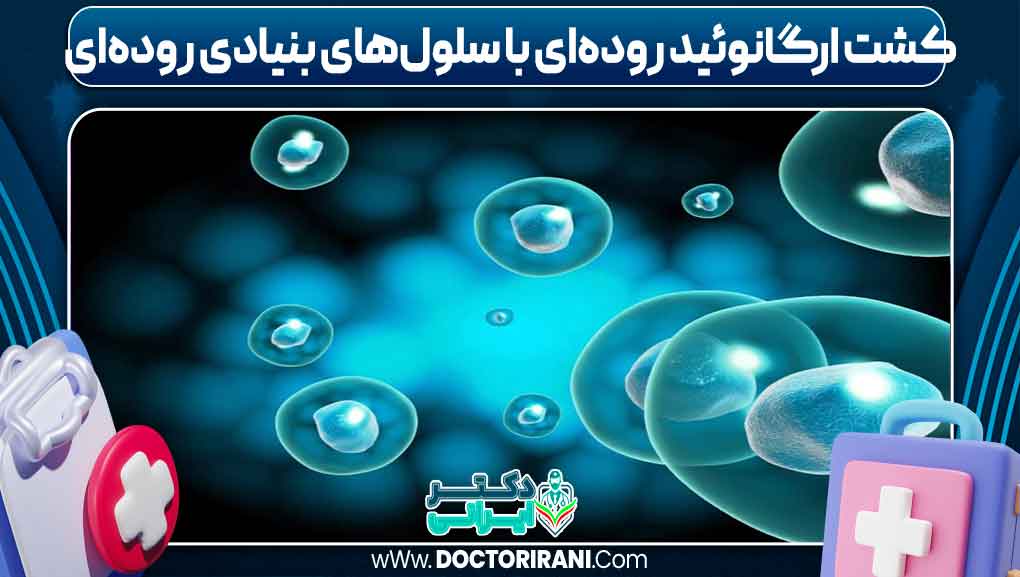 کشت ارگانوئید روده‌ای با سلول‌های بنیادی روده‌ای
