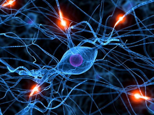 بیماری نوروپاتی شارکو ماری توث