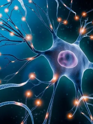 نشانه‌های بیماری نوروپاتی دیابتی