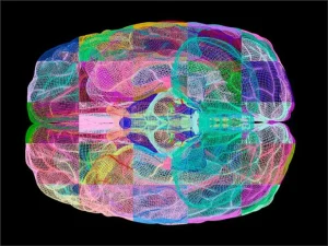بیماری نوروپاتی ژنتیکی و ارثی